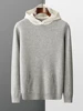 ADDONEE Men Hooded Pullover Cashmere Sweater Autumn Winter 100% Merino Wool Knitwear Smart Casual Sweater Korean Fashion Tops 1
