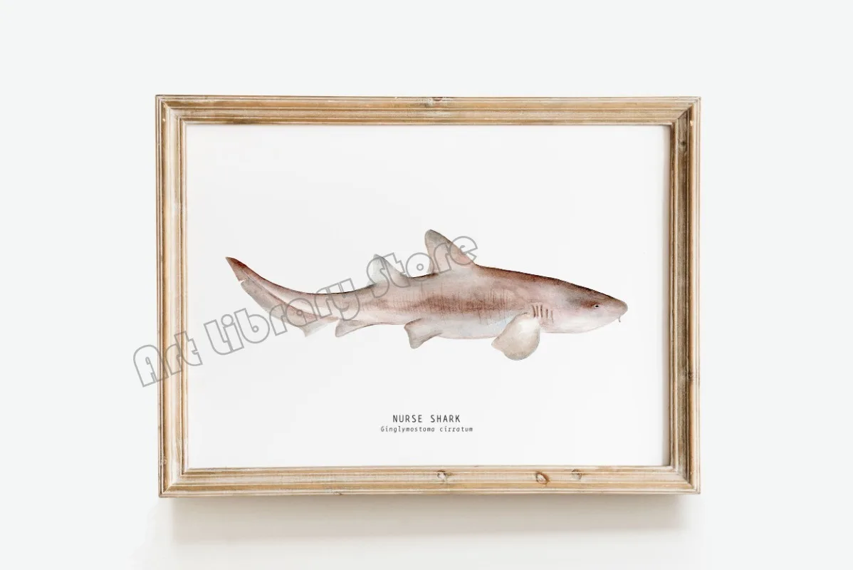 Marine Life Ocean Animals Canvas Art Poster - Whales, Sharks, and Turtles