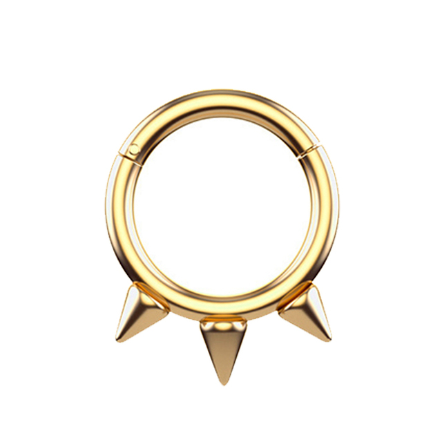 Nose Ring Hoop Septum Piercing Hinged Segment Clicker Surgical Steel Ear Cartilage Earrings Tragus Helix Daith Body Jewelry