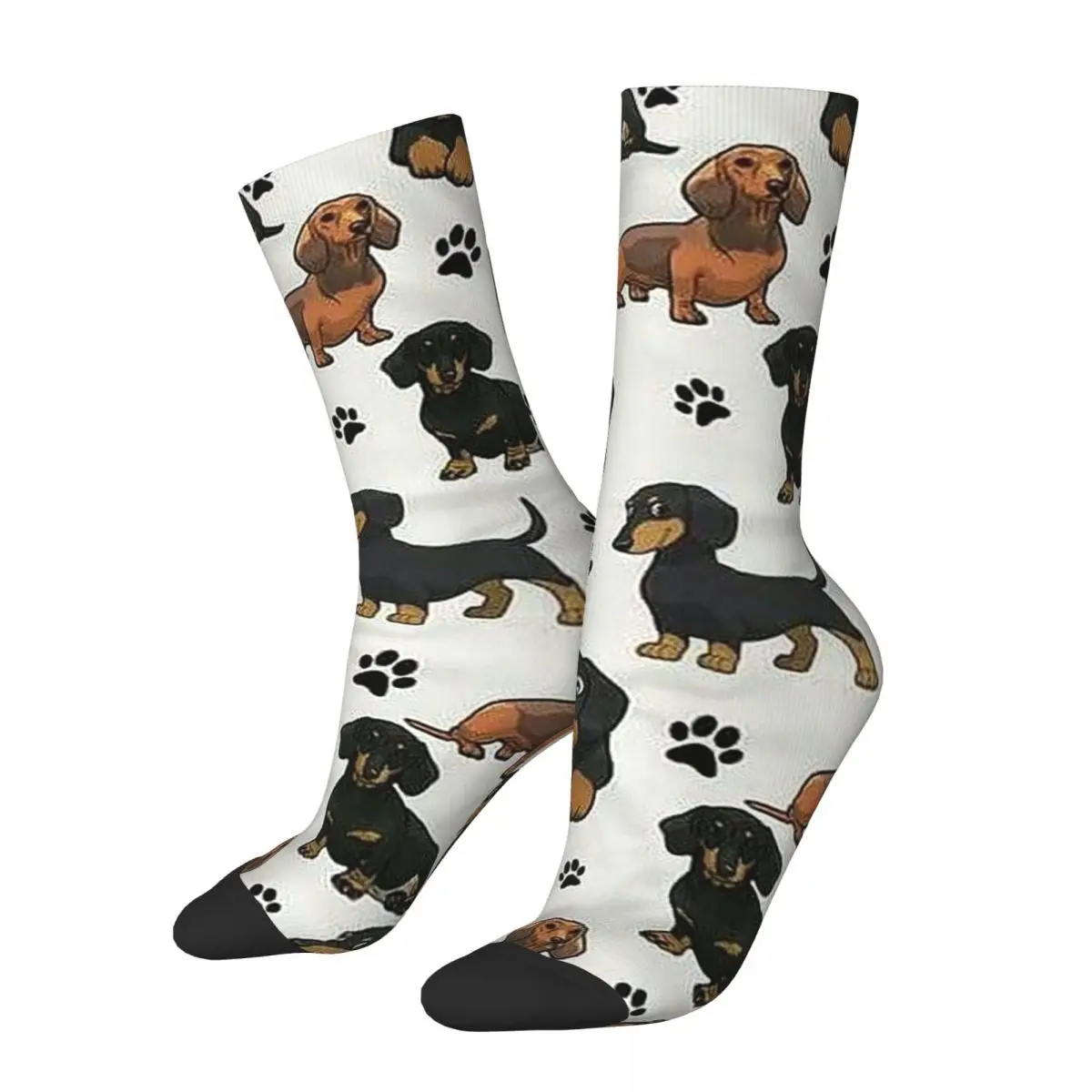 

Милые носки в стиле Харадзюку с изображением таксы и собаки, высококачественные чулки, всесезонные длинные носки для мужчин и женщин, подарок на день рождения