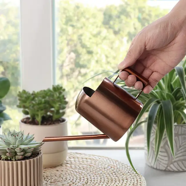 Small Watering Pot Stainless Steel Watering Stainless Steel Mini Watering Long Spout Sprinkling Pot for Indoor/outdoor Plants