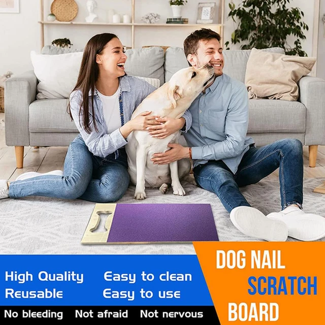 Share more than 139 dog nail file board latest ceg.edu.vn