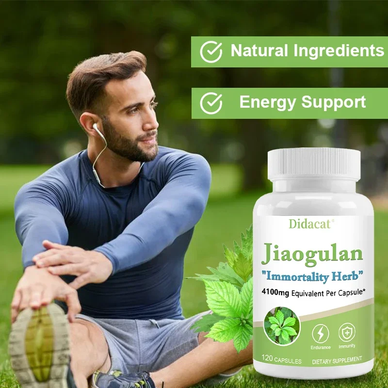 Jiaogulan Supplement Antioxidants Metabolism Mitochondrial Support