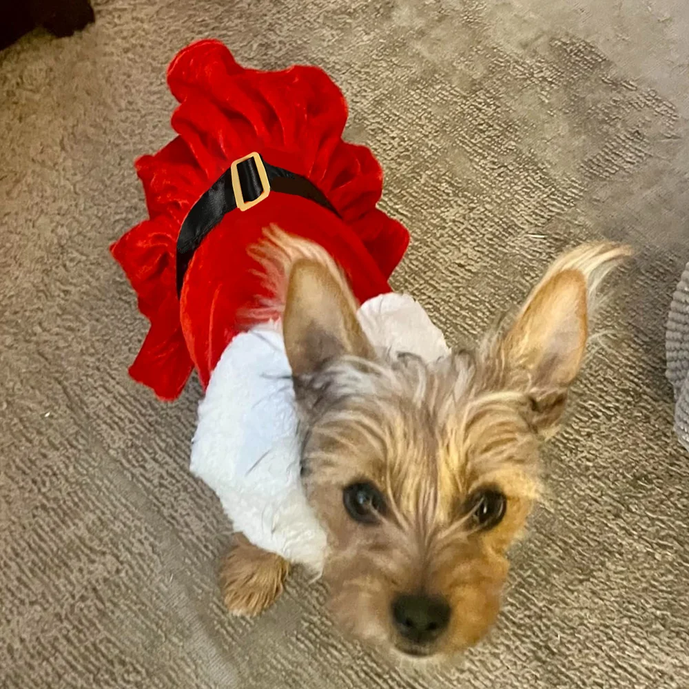 Christmas Dog Costume For Small Medium Dogs Cats Funny Santa Claus Pet  Cosplay Dresses For Party Cute Yorkshire Puppy Outfits - AliExpress 15