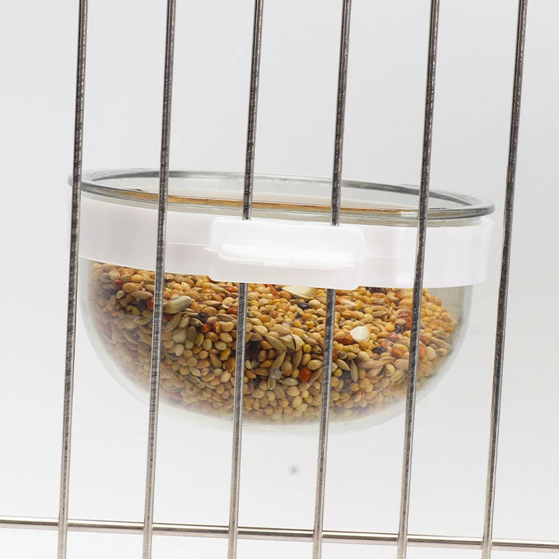 Bird Feeding Bowl 3