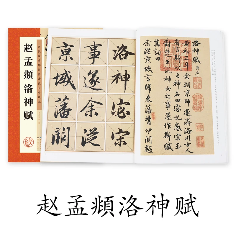 Chinese Book Calligraphy Brush Stone Inscriptions Copybook Adult Beginners Writing Practice Tutorial Zhao Mengfu Luoshen Fu New