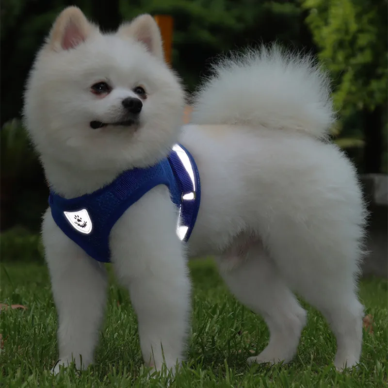 Pettorina Riflettente Per Cani Guinzaglio Per Cani Guinzaglio Per Cani Yorkshire Terriers Prodotti Per Cuccioli Di Pomeranian Forniture Per Cani Da Pa