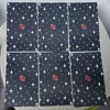 Secret Mirror Tarot 12*7cm Feminine Art Tarot In Rich Symbolism with Monochrome Realm:Black, White, Red, Gold- with Guidebook 4