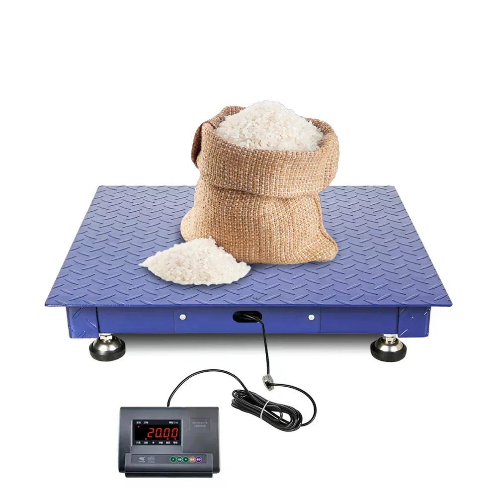 Hot Sale Industrial Digital Weighing Scale 3 Ton Carbon Steel Floor Platform Scales