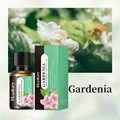 Gardenia