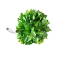 Green USB Powered
