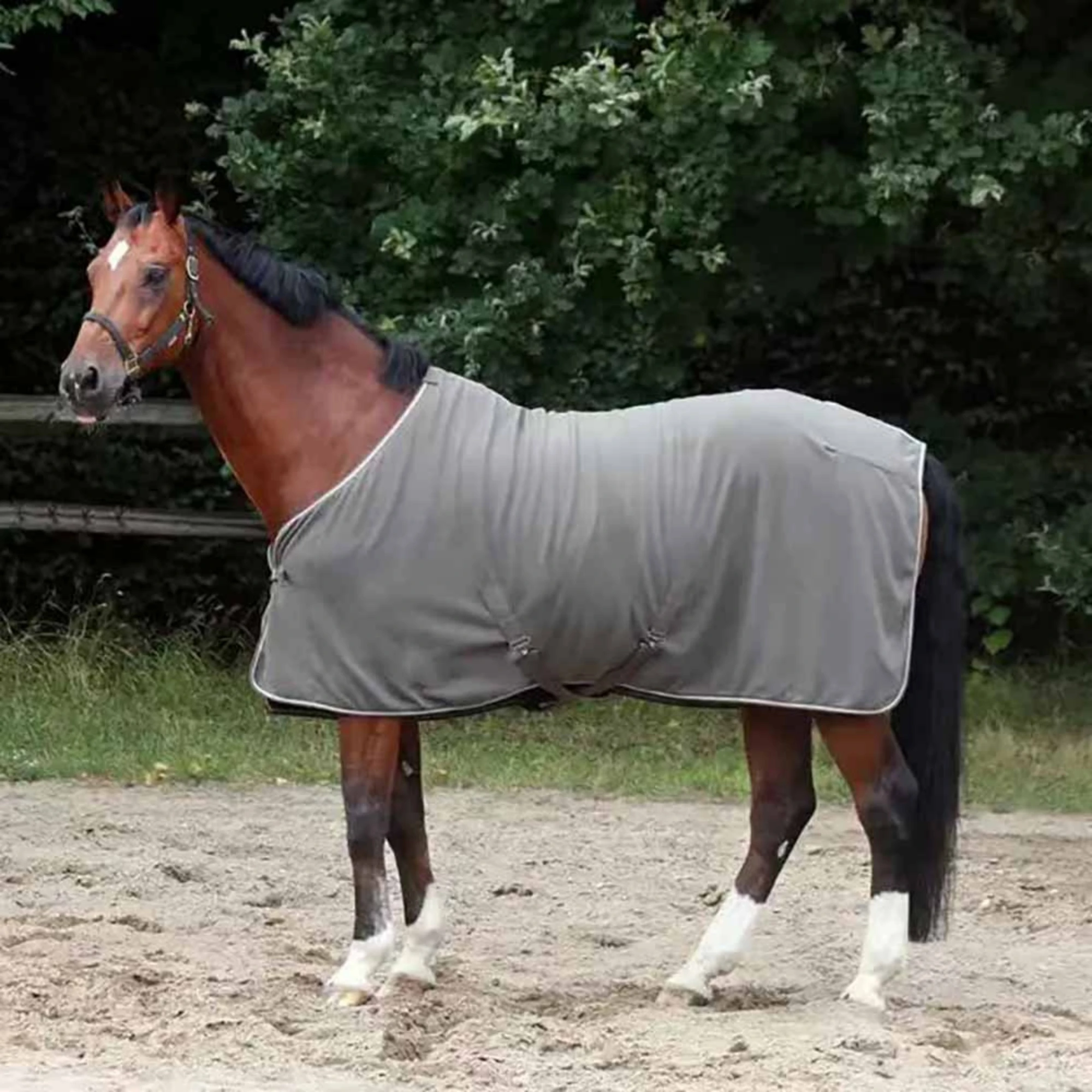 Winter Horse Clothing Breathable And Soft Horsehair Blanket Horse Accessories Equestrian Supplies 3