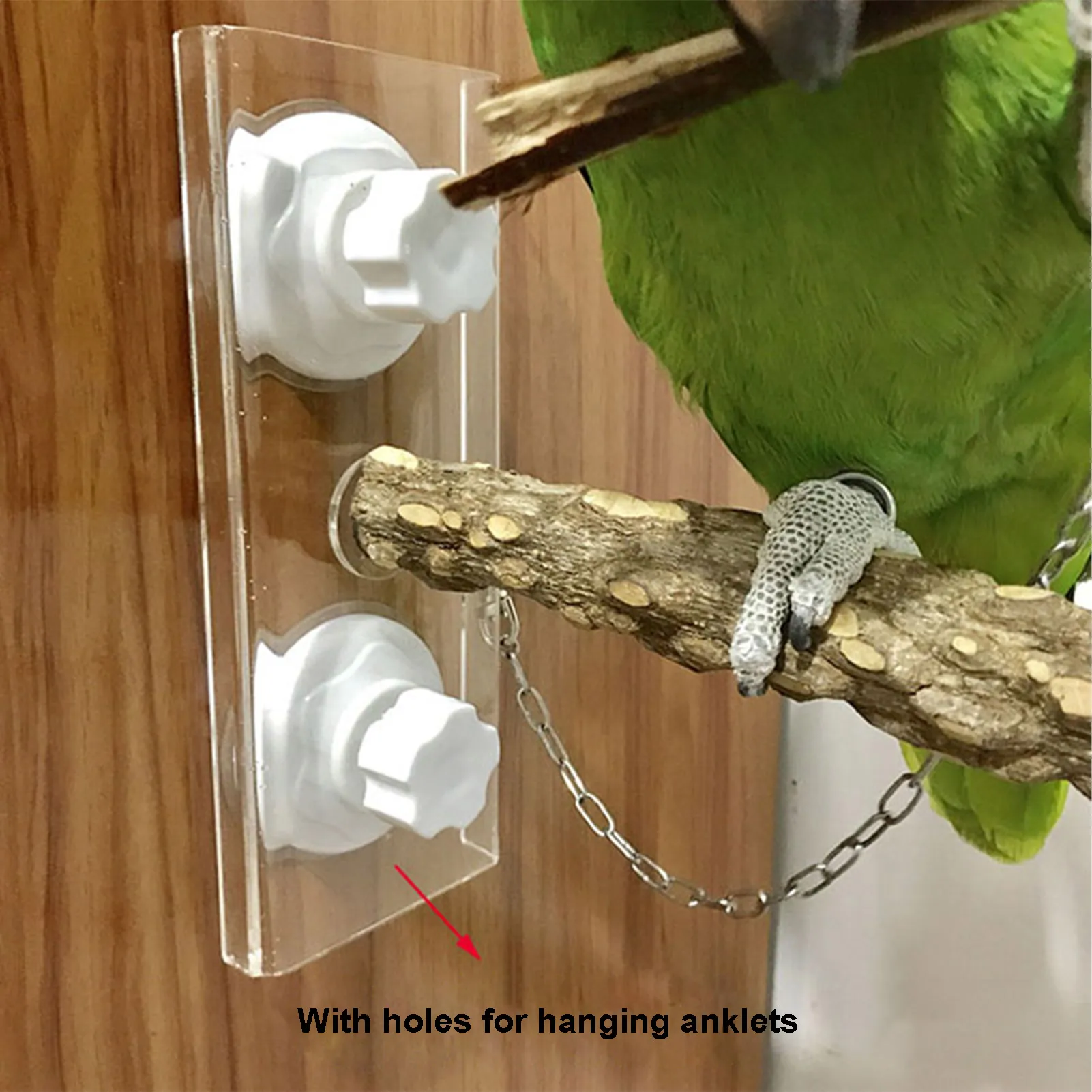 Bird Parrot Stand Perches Bird Play Stand Portable Playground Portable Suction Cup Window And Shower Perch Toy For