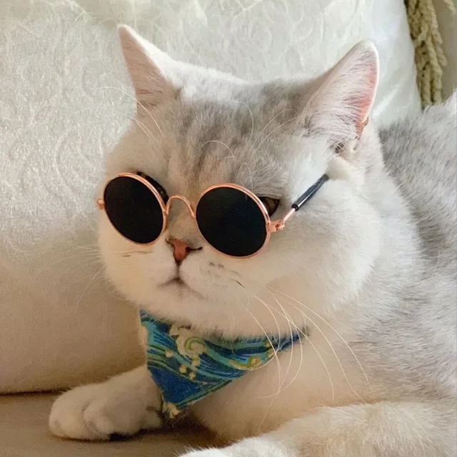 Cat Sunglasses Summer Outdoor Puppy UV Protection Sunglasses Dolls Sun Glasses Small Dog Cosplay Photo Props Cute Pet Sunglasses 2