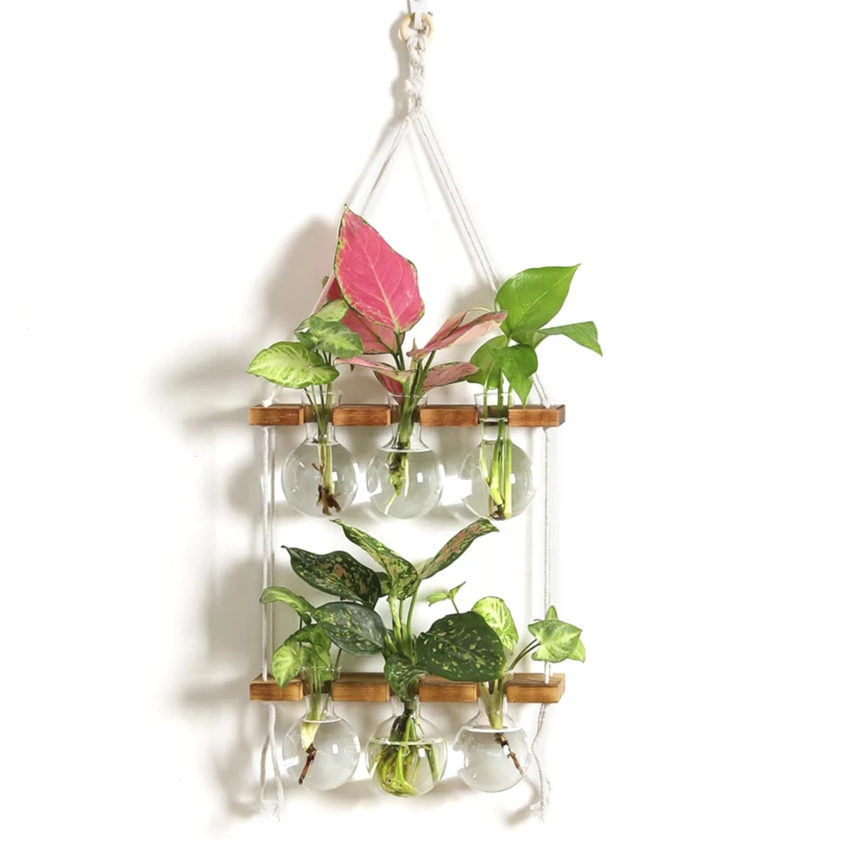 Stations de multiplication des plantes, Terrariums de plantes suspendus  muraux Plateau en verre Support en bois avec 3 Propag