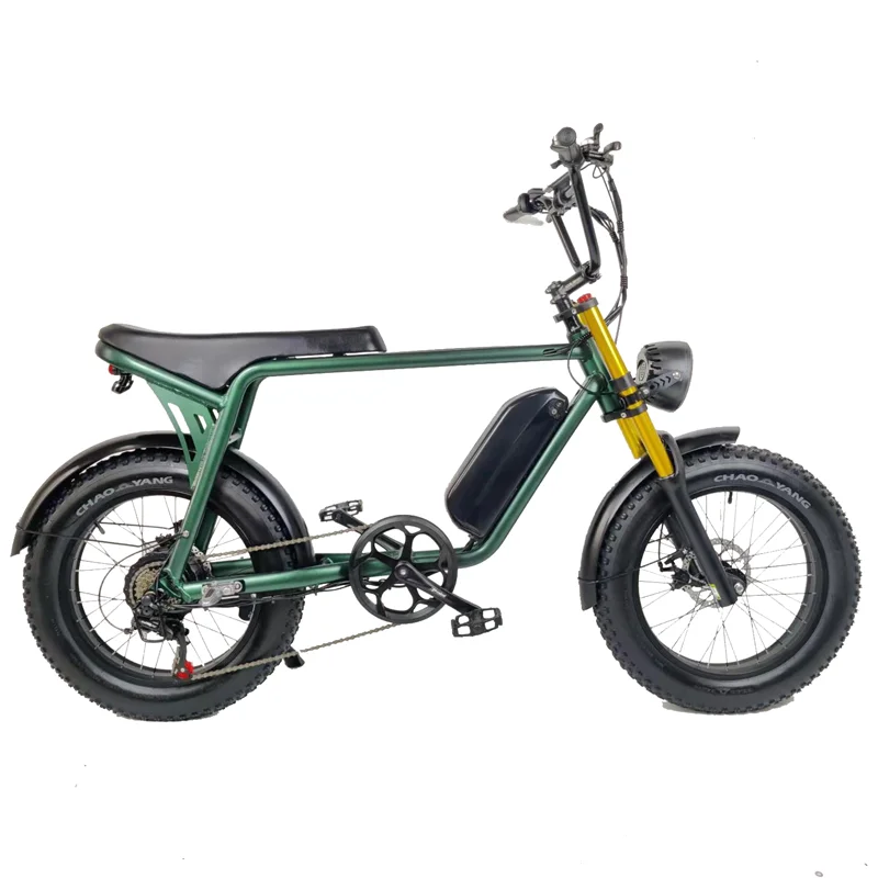 RoadAcc Electric Motorcycle Bicycle 48V 500W 1000W 13AH Aluminum Alloy Dual Crown Suspension Fork Electric Fat Tire Bike