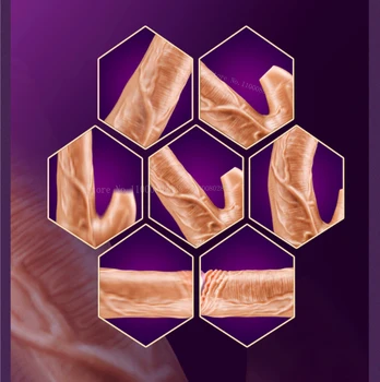 Women Realistic Dildo Heating Telescopic Vaginal Vibration Sucking Clitoris Stimulate Remote Control Masturbator Massage Sex Toy 6