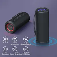 WISETIGER P3 Portable Bluetooth Speaker 30W Outdoor IPX7 Waterproof Bass Boost Sound Box TWS Dual Pairing BT5.3 RGB Lights 2