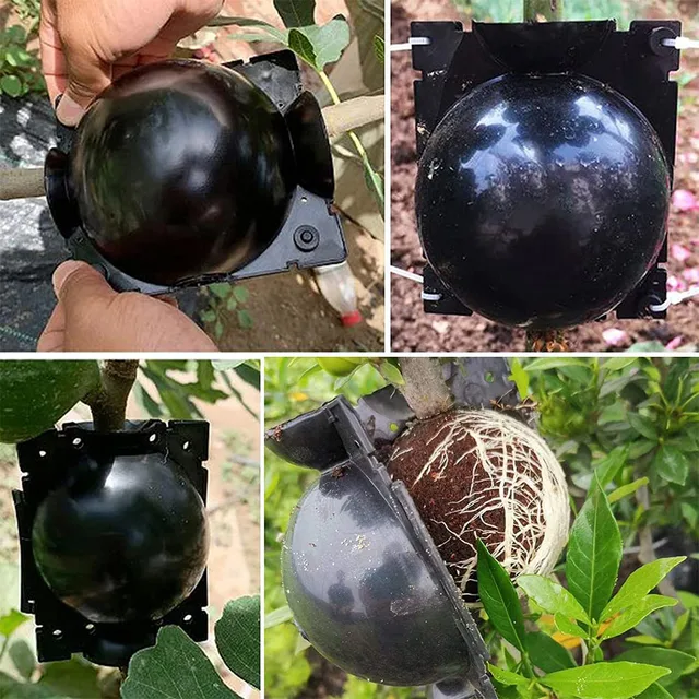 5 db Növényi Gyökérgolyó Gömb Oltó Gyökérkerti Doboz Csepp Szaporodás Tenyésztés Gyökér Tok Óvodai Golyó Újrafelhasználható - Image 5