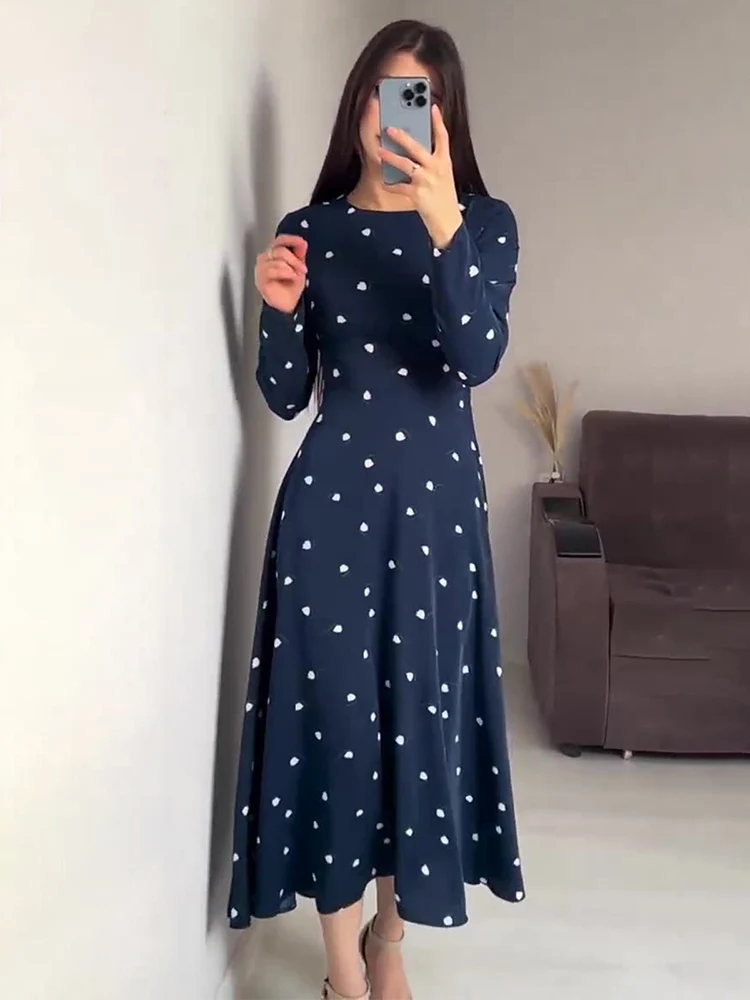 

Tossy Women's Printed High Waisted Long Dresses Pullover O Neck Full Sleeve Fashion A-Line Female Holiday Dress 2024 Summer