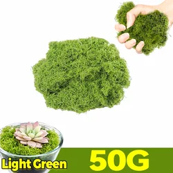 Eternal Life Faux Moss Decor for DIY Craft and Mini Landscape (Light Green - 50G)