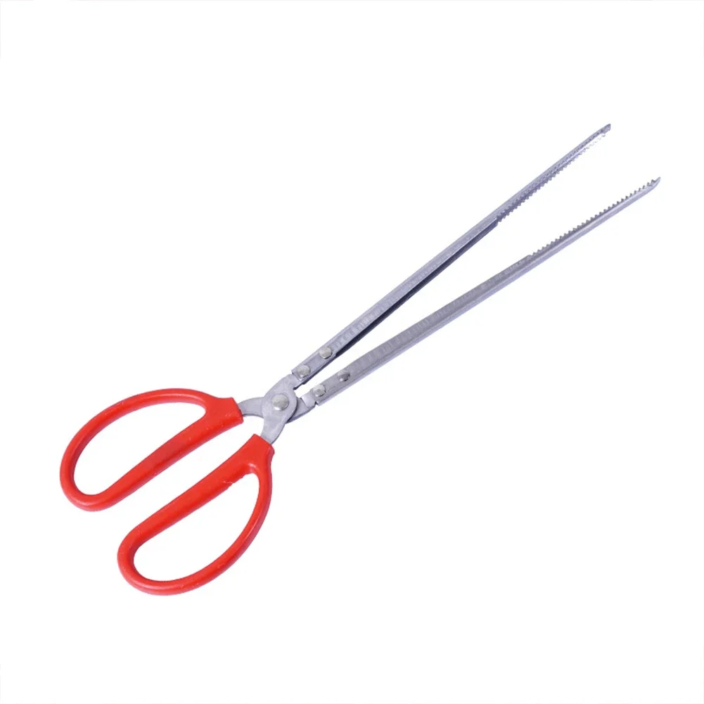 Snake/Reptile Feeding Tongs 2