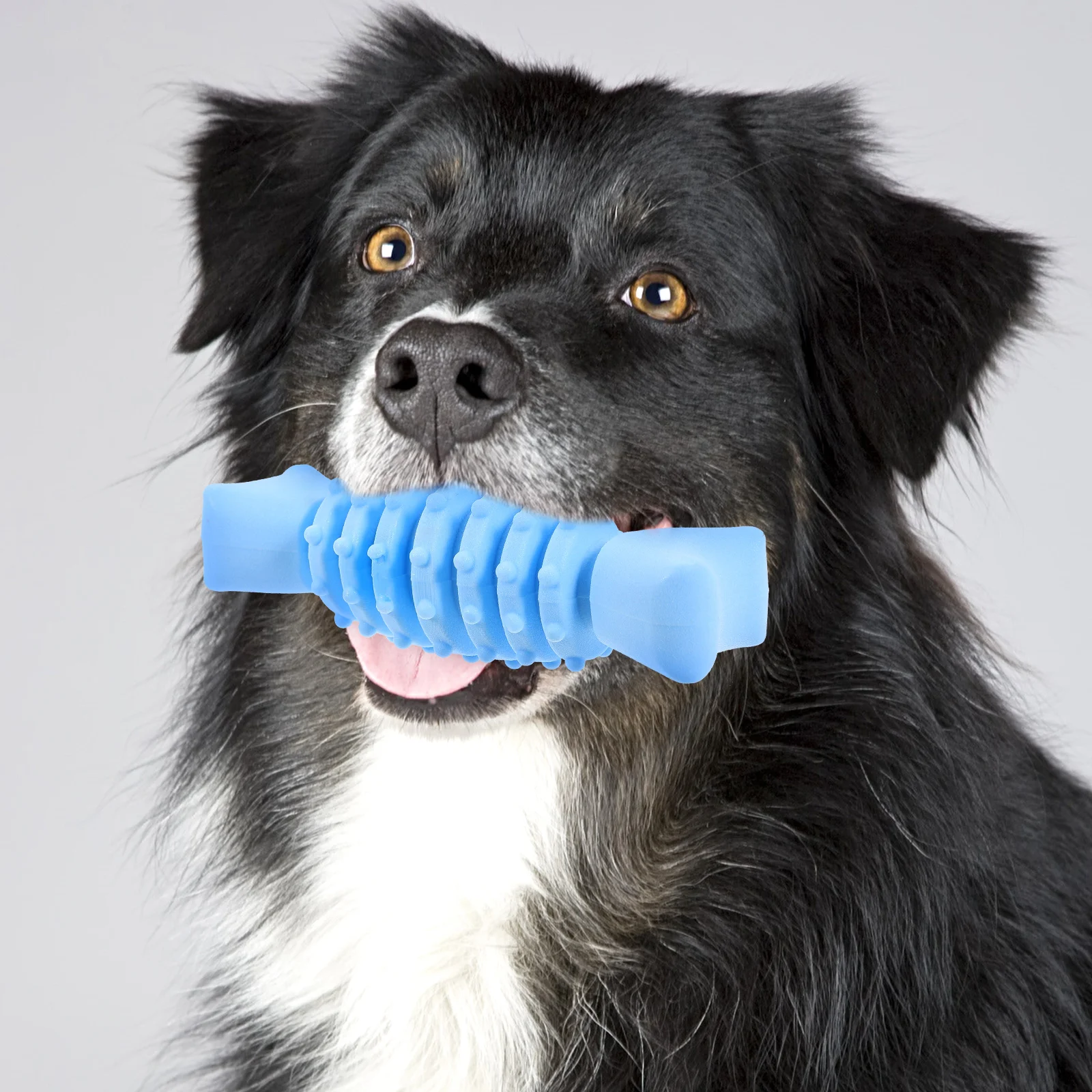 

Pet Dog Toy Bite-resistant Pet Puppy Biting Toy Wear-resistant Pet Dog Chew Toy