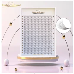 Lashprofessor 320/240/160 Fans C D 3D 4D 5D 6D 8D 10D 12D Individual Lash Extension Pointy Thin Stem Russian Promade Volume Fans