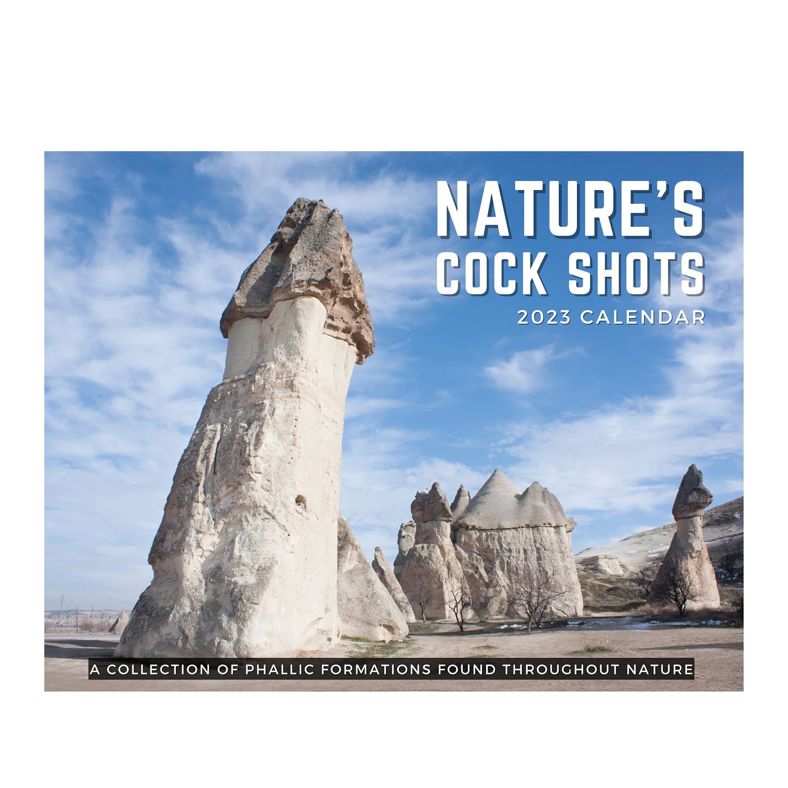 Рисунок 2 - 2023 новогодний зимний планер с визирами