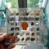 36-Grid Acrylic Seashell Display Box with Magnets Durable Starfishs Trinket Storage Case for Bead Nail Jewelry Chic Gife 5