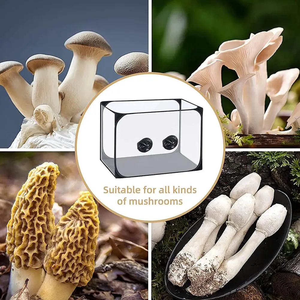 스틸 에어 박스 팝업 버섯 재배 텐트 키트, 휴대용 균류 연기 후드 전파 스테이션, 35.8x23.2x22.8 인치 도매 