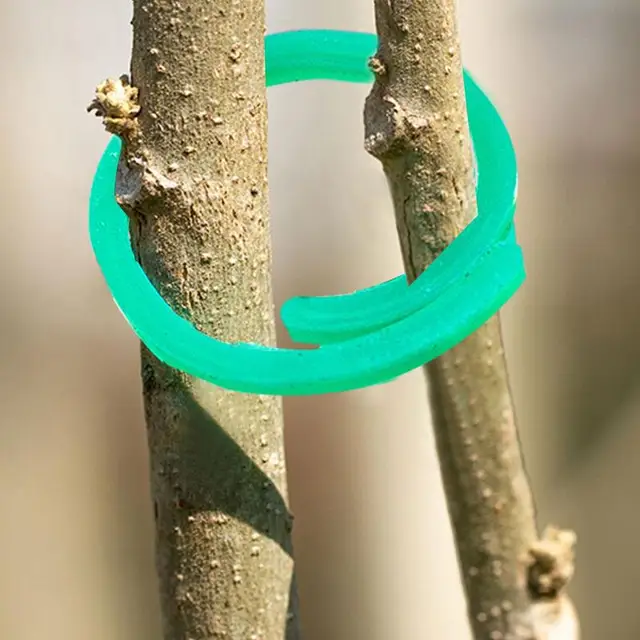 Növényi Csavarás Klip 100Db Zöldségek Paradicsom Szőlő Virág Klipek Csavaráskert Kerti Más Szőlőüzemekhez A Hegymászáshoz - Image 5