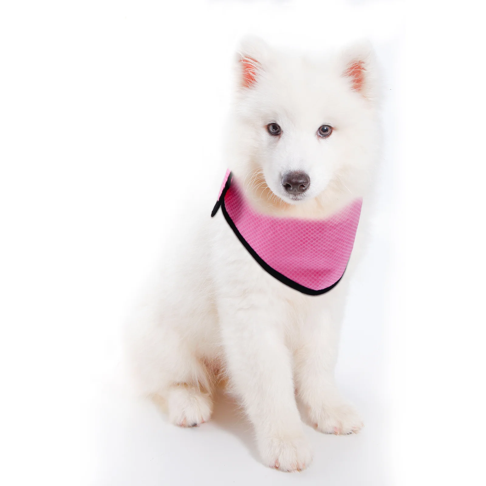 반려동물 쿨링 타월 개 고양이 여름 스카프, 야외 걷기 달리기, 아이스 타월 칼라
