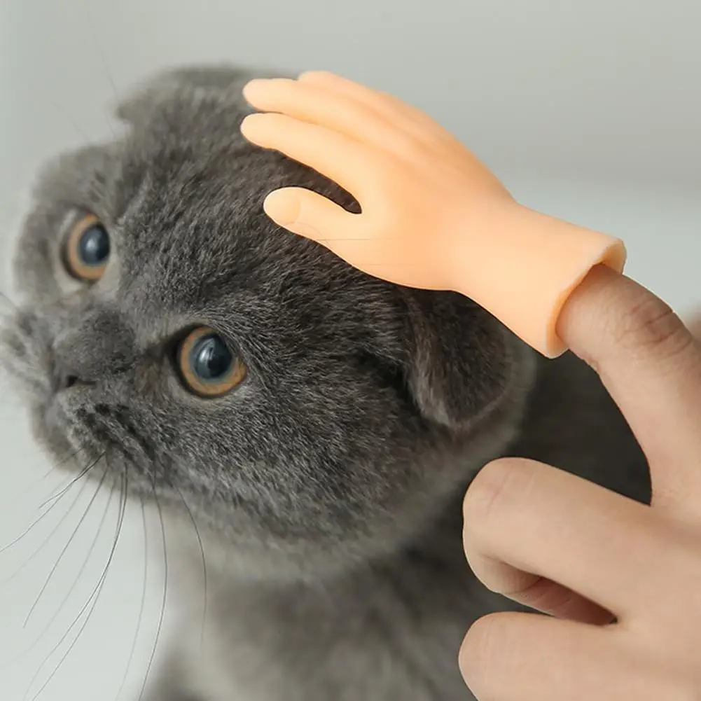 https://ae01.alicdn.com/kf/S1a5fa2f067f845ae918a0464b472c7ffv/Simulation-Little-Hands-Funny-Mini-Hands-Foot-Finger-Sleeve-Silicone-Hand-Puppet-Novel-Prank-Finger-Toys.jpg