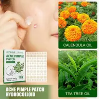 144patch Acne Pimple Patches Translucent Matte Hydrocolloid Salicylic Acid Tea Tree Oil For Inflamed Acne Improve Whiteheads 1
