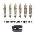 6pcs