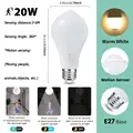 20W Warm White