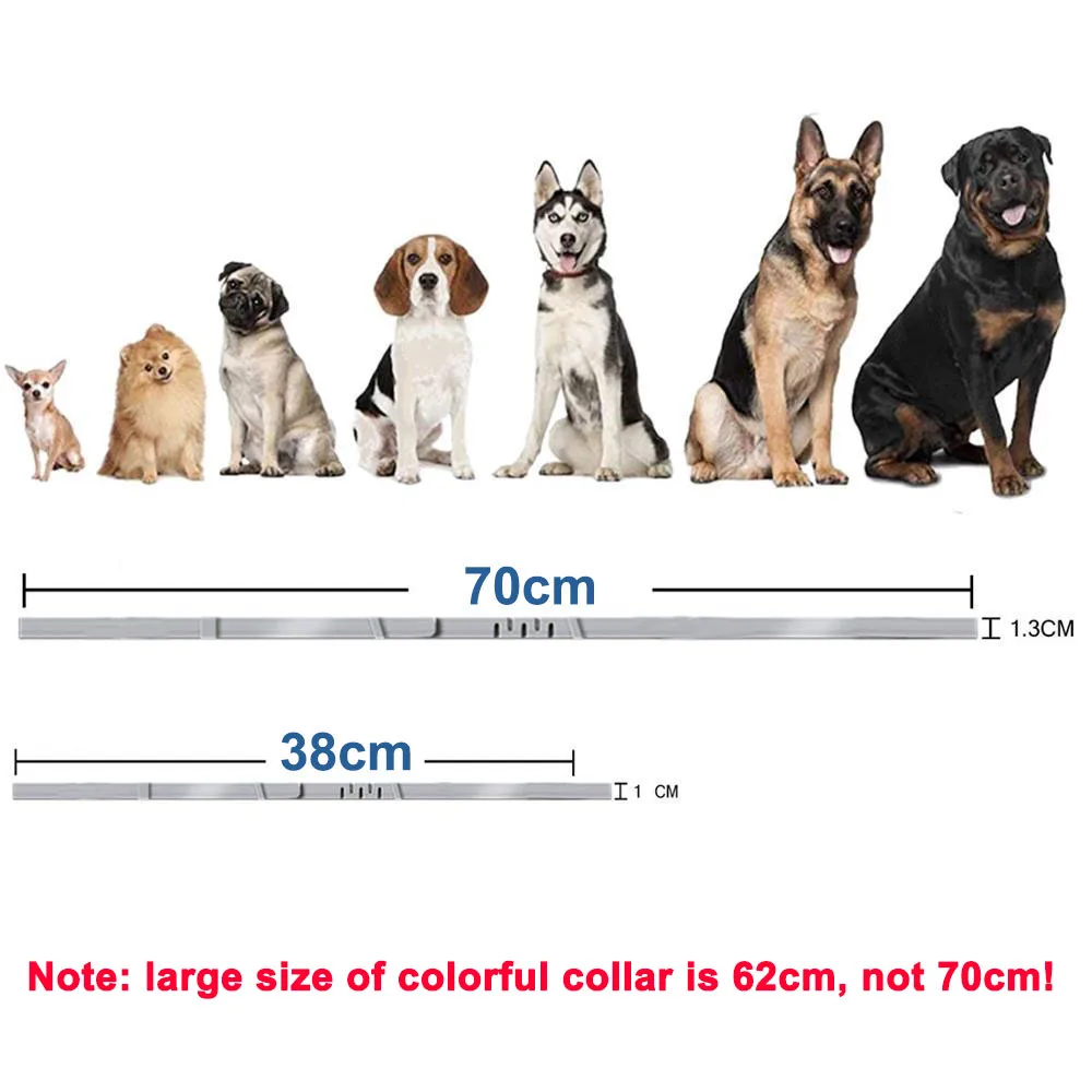 Dog Collar Puppy Cat Plastic Collar For Small Medium Large Dogs Cats Pet Items Dog Accessories Suppliers dog collar