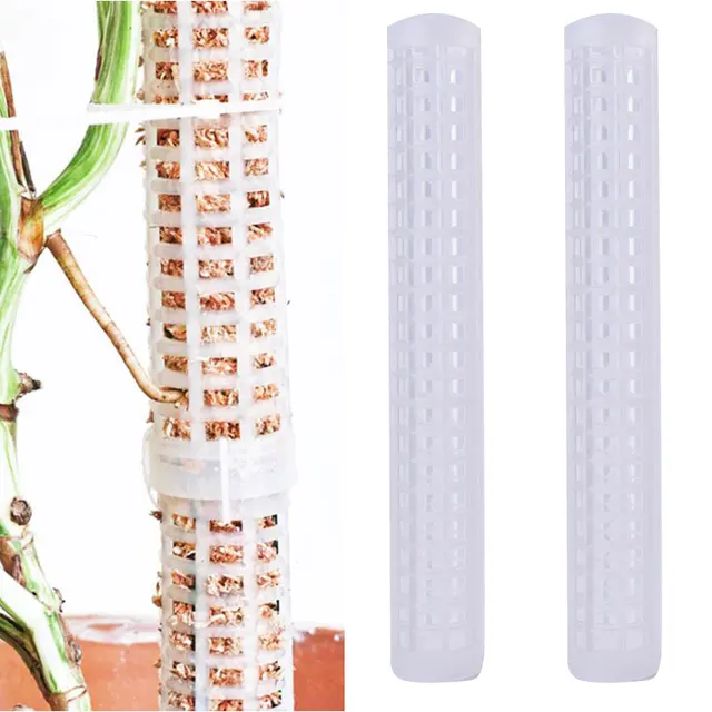 Hegymászó Növényi Pólus Sphagnum Moha Botok Növény Növekvő Tartótámogató Vízmegtakarító Műtrágyaban Gazdag Kókuszdió-Bot Kertészet 1Dc - Image 4