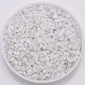 White porcelai chip