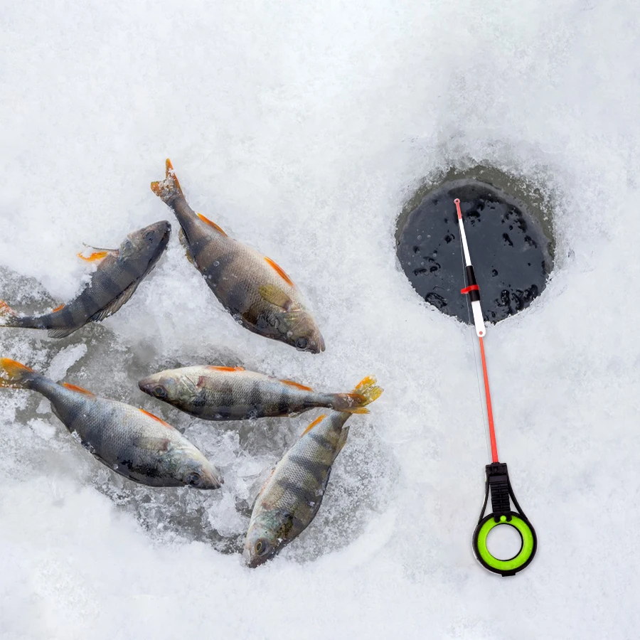 FISH KING  ˴, ܿ ߿  ȣ, ޴ ˴, ʰ淮 ,  , β  ͽټ