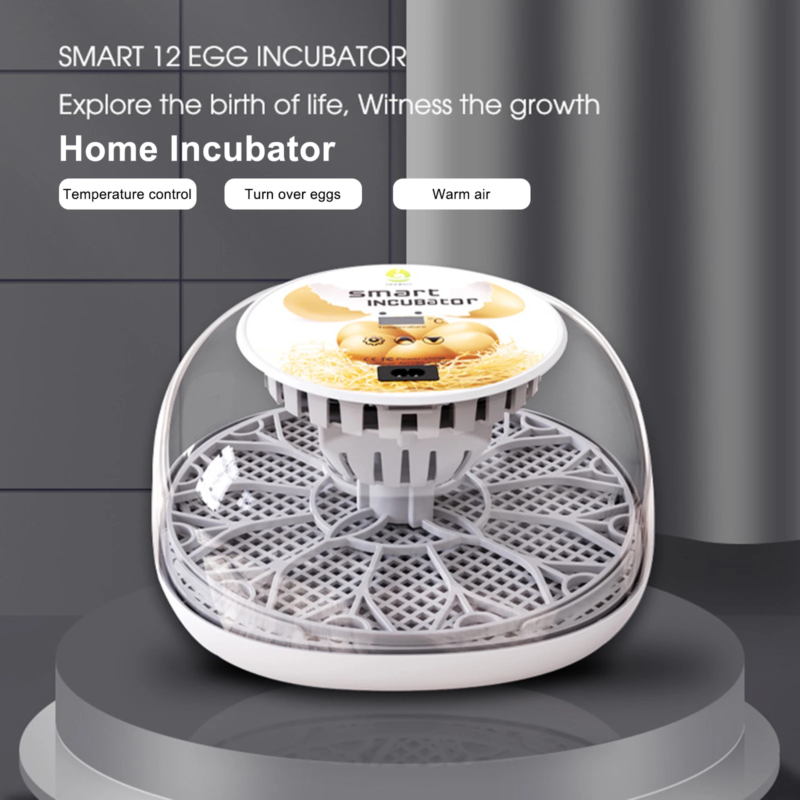 incubadora-automatica-temperatura-controlada-display-frango-passaro-codorna-brooder-12-ovos