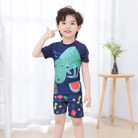 2024 Summer Children Beach Suits T-shirts+Shorts Unisex Boys Girls Two Pieces Swimwear Kids Cute Surfsuit Cartoon Print Swimsuit 3
