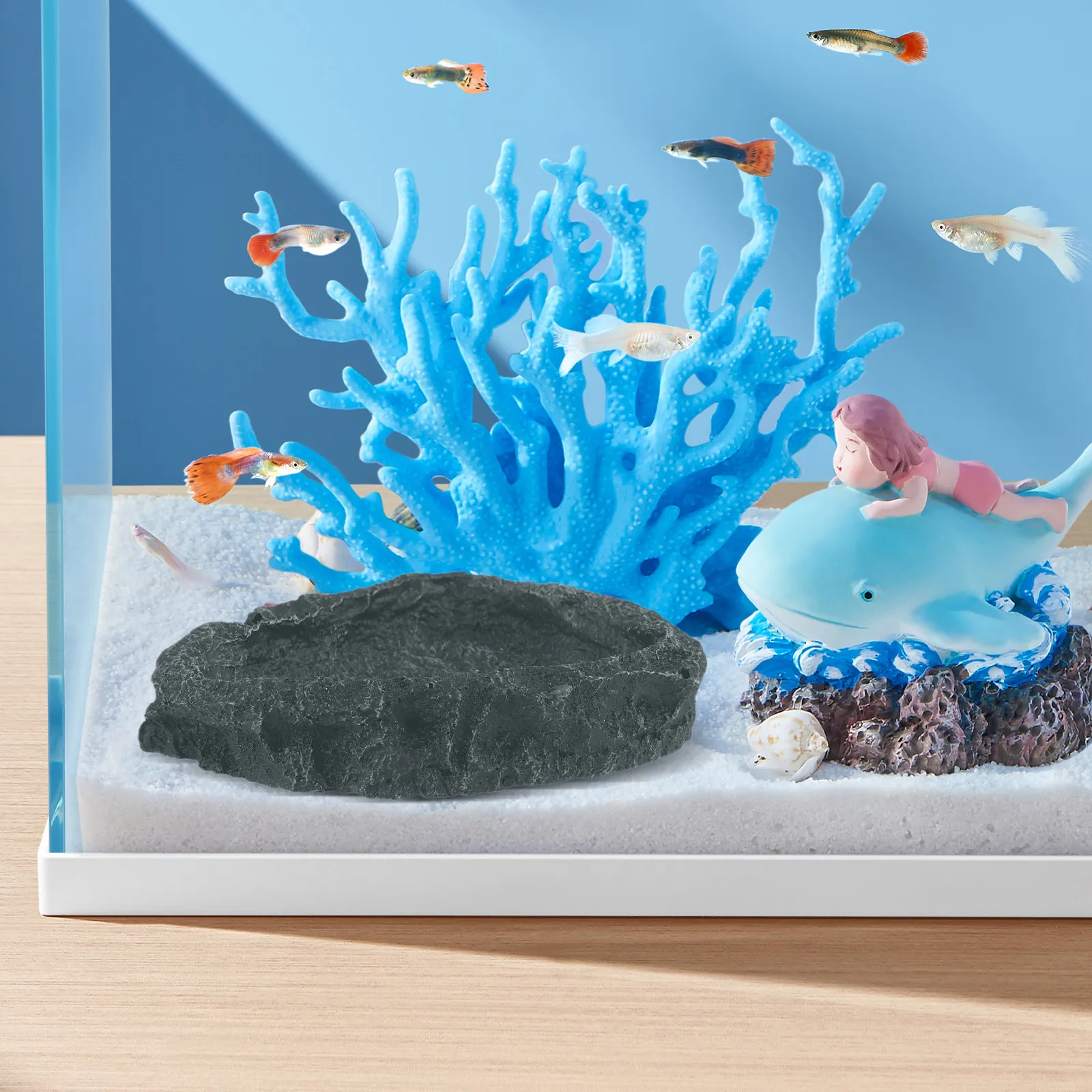 Large Reptile Water Bowl Resin Based Food Feeding Dish Wear Resistant ...