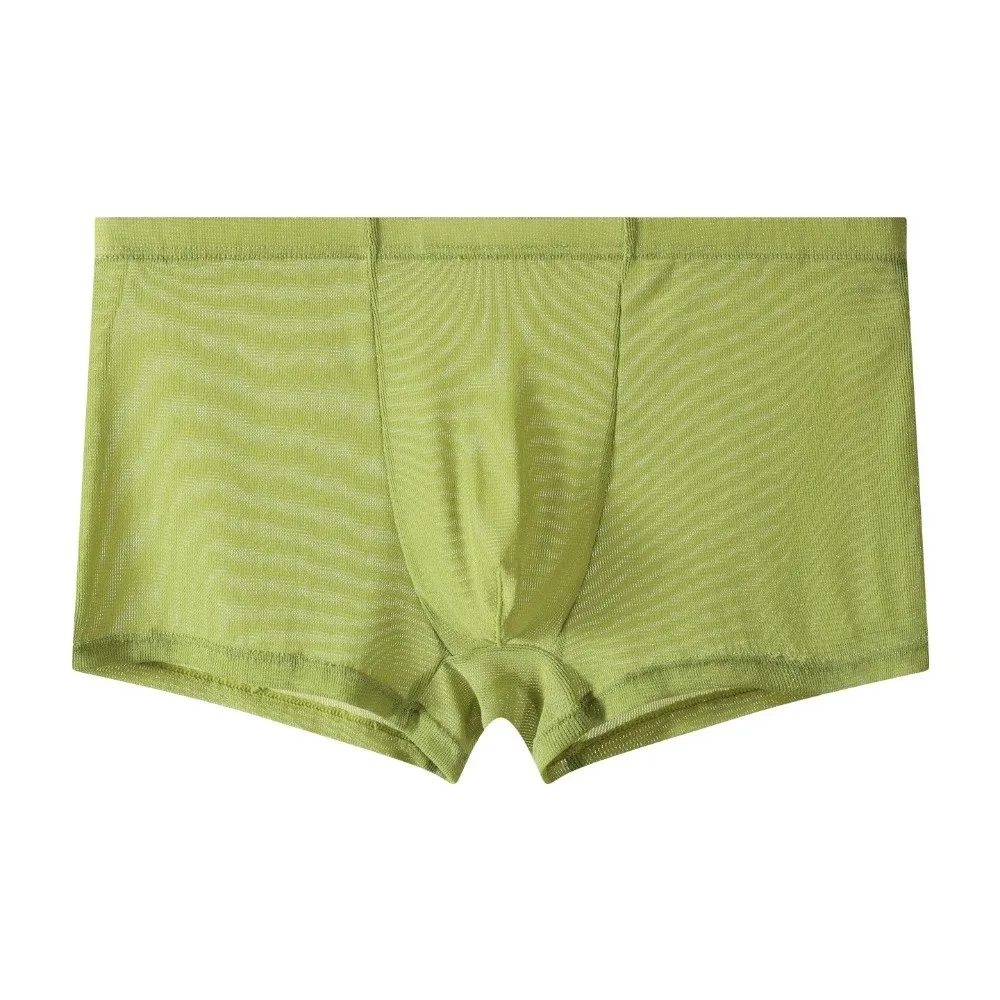 Sous-vêtements de mode pour hommes, caleçons boxer, maille transparente, shorts en maille fine, boxers respirants, séchage rapide, sous-vêtements pour hommes au quotidien