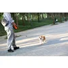 Retractable Dog Leash Automatic Extending Nylon Puppy Pet Dog Leashes Lead Dog Walking Running Leash Traction Rope 3m 5m 8m 3