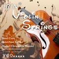 Violin V60 1 Set