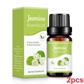 Jasmine B 2pcs