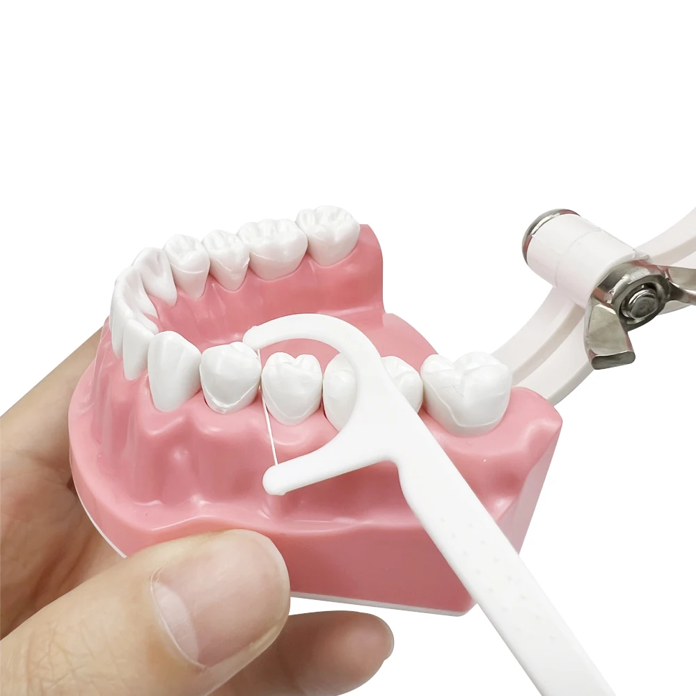 Dental Care Educational Tool for Brushing and Flossing Practice