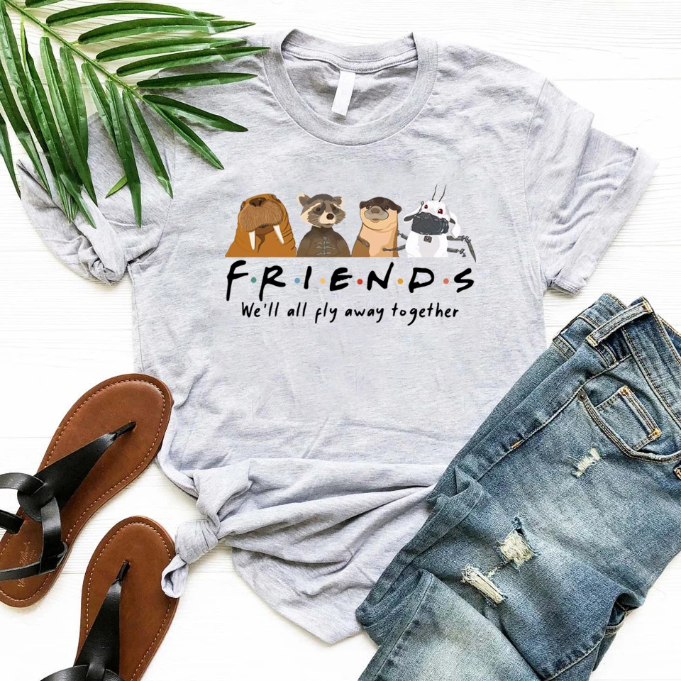 Rocket and Friends We'll Fly Away Together Inspired Streetwear Tee